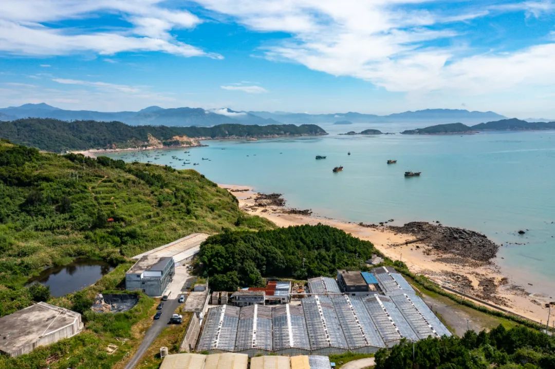 是什么，让人们实现“海带自由”？