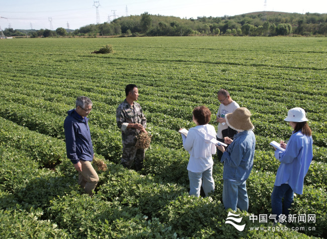 减损增收 探寻丰收的“密码”——葫芦岛气象部...