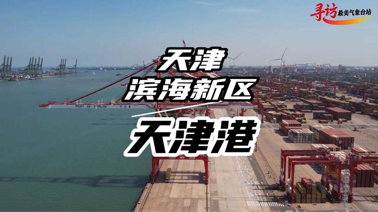 看看全球首个“零碳智慧”港口长啥样