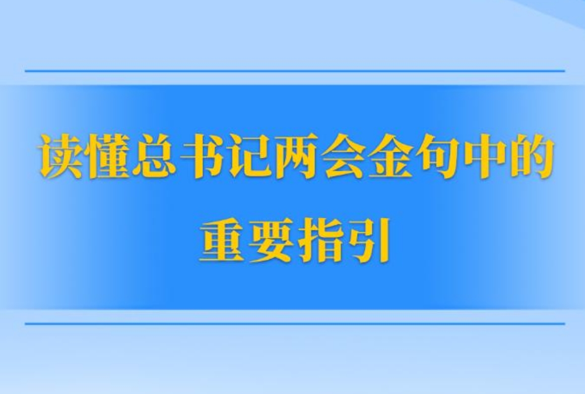 读懂总书记两会金句中的重要指引