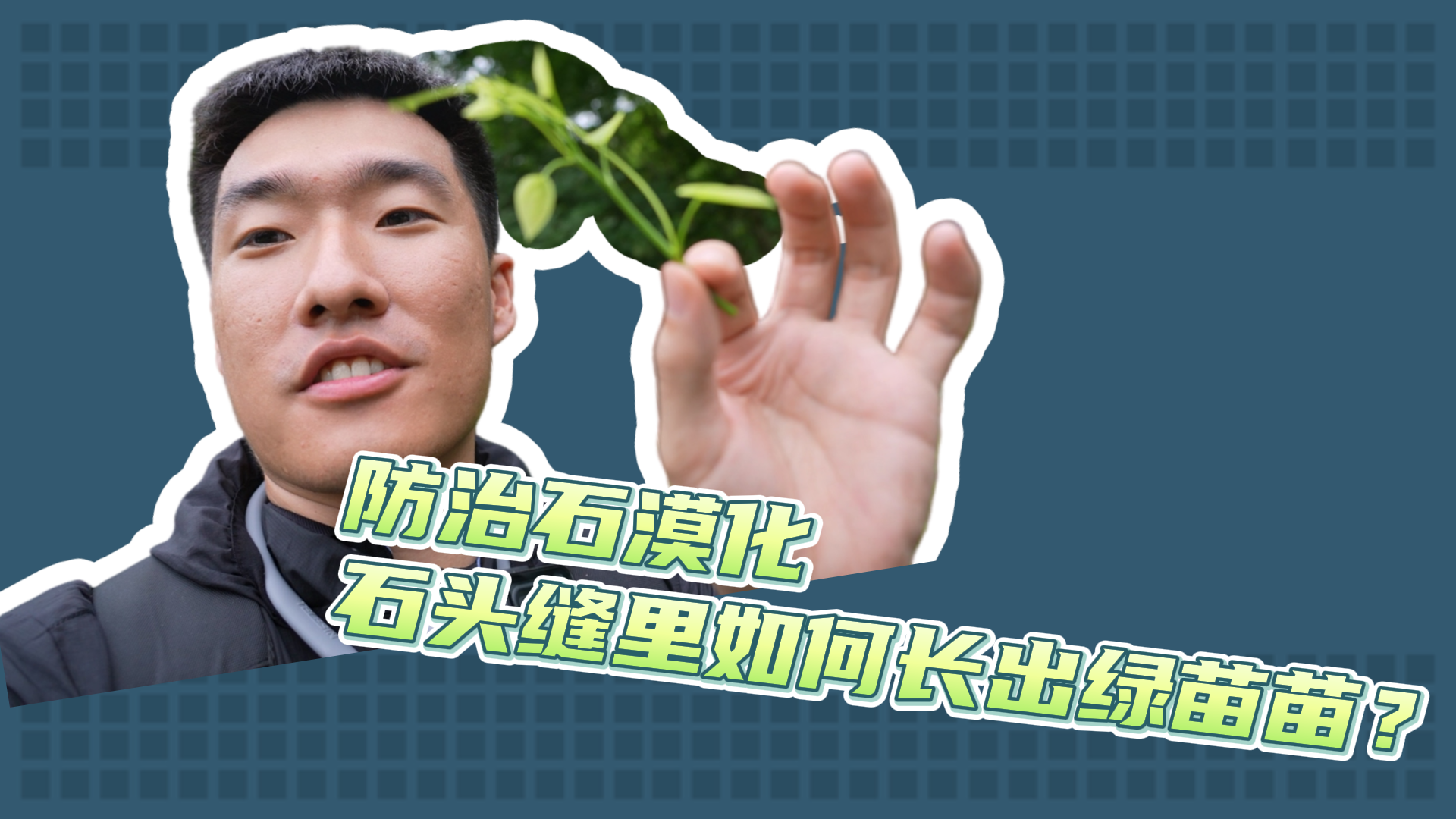防治石漠化，石头缝里如何长出绿苗苗？