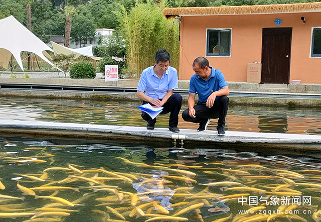 好山好水好气候 如何借“绿”生“金”？