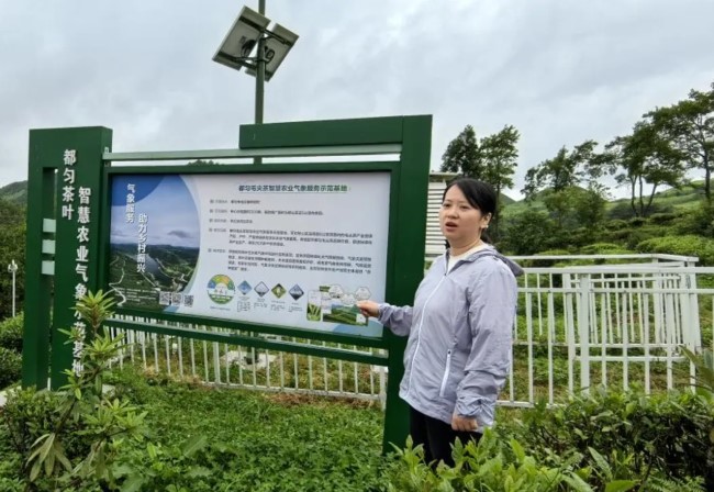 没见过，茶叶也有管家？