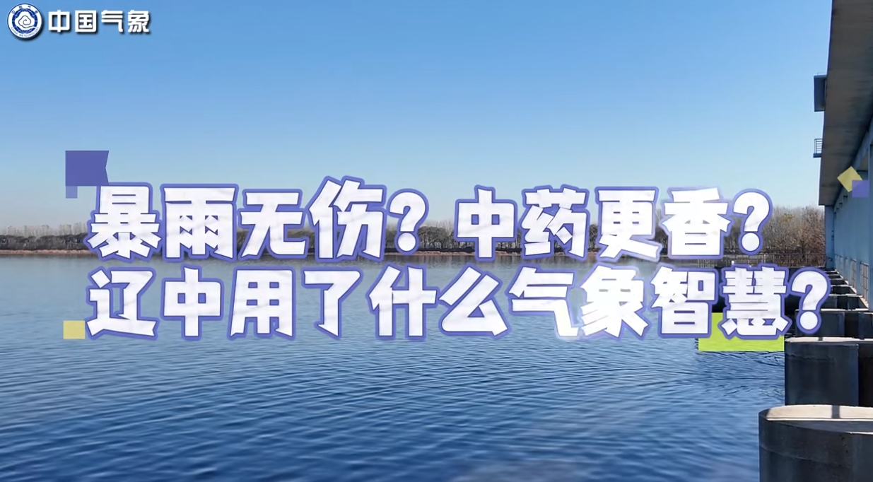 暴雨无伤？中药更香？辽中用了什么气象智慧？