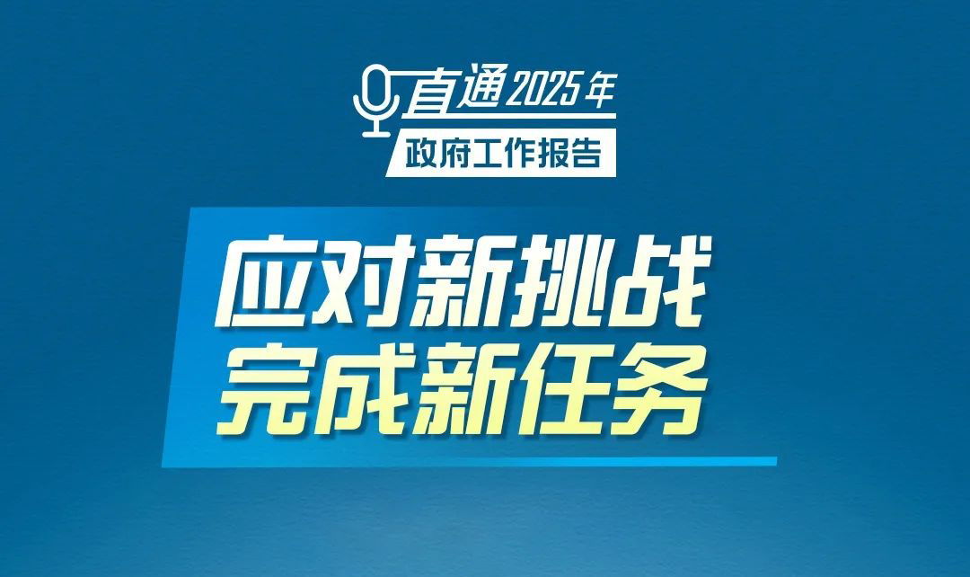 2025年，对政府工作有这些要求