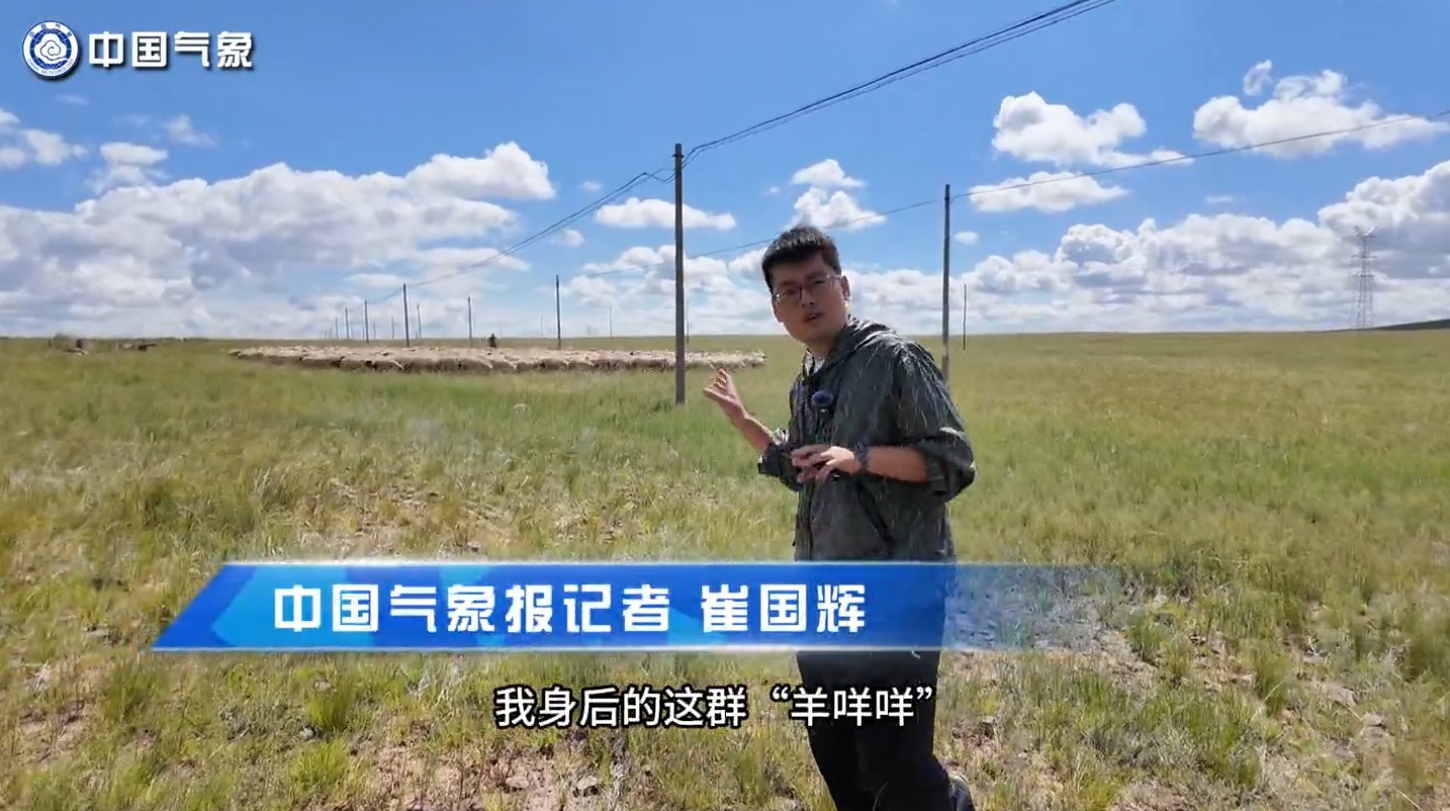 按天理赔、快速到账！肉羊天气指数保险这么“神”？