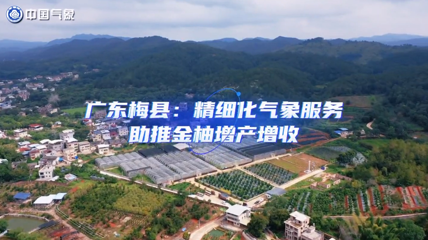 广东梅县：精细化气象服务助推金柚增产增收