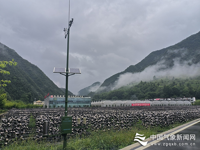 “生态绿”里好光景——商洛气象部门助力秦岭...