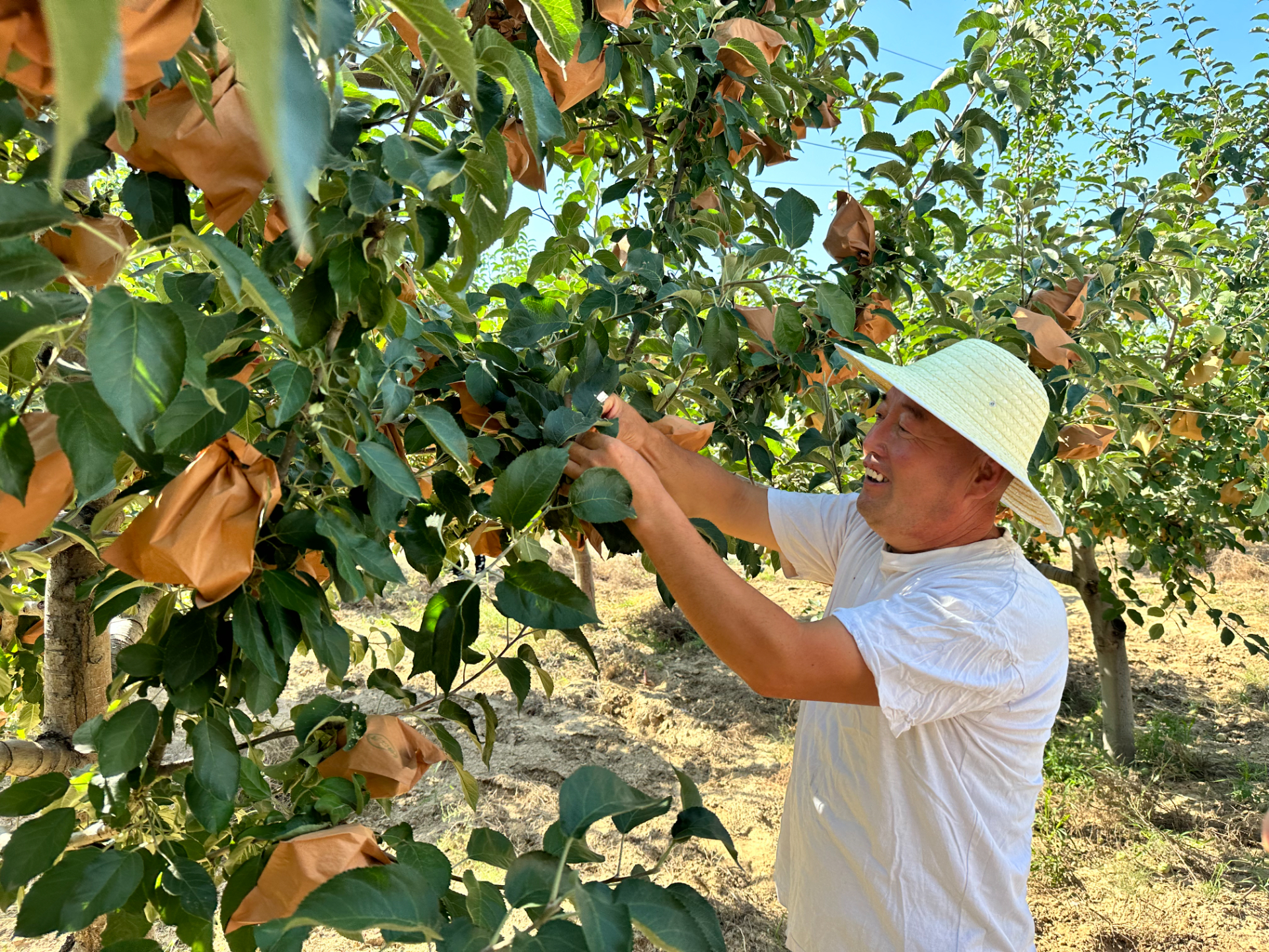 中国环境APP：“书记”讲故事丨陕北的“绿窝窝...