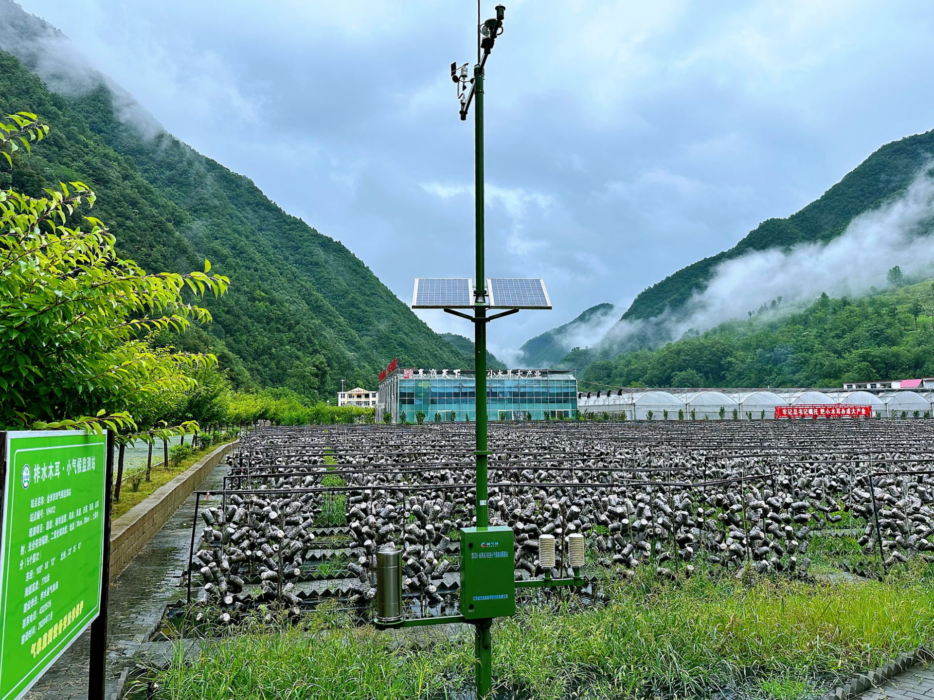 中国环境APP：“书记”讲故事丨来自秦岭的小木...