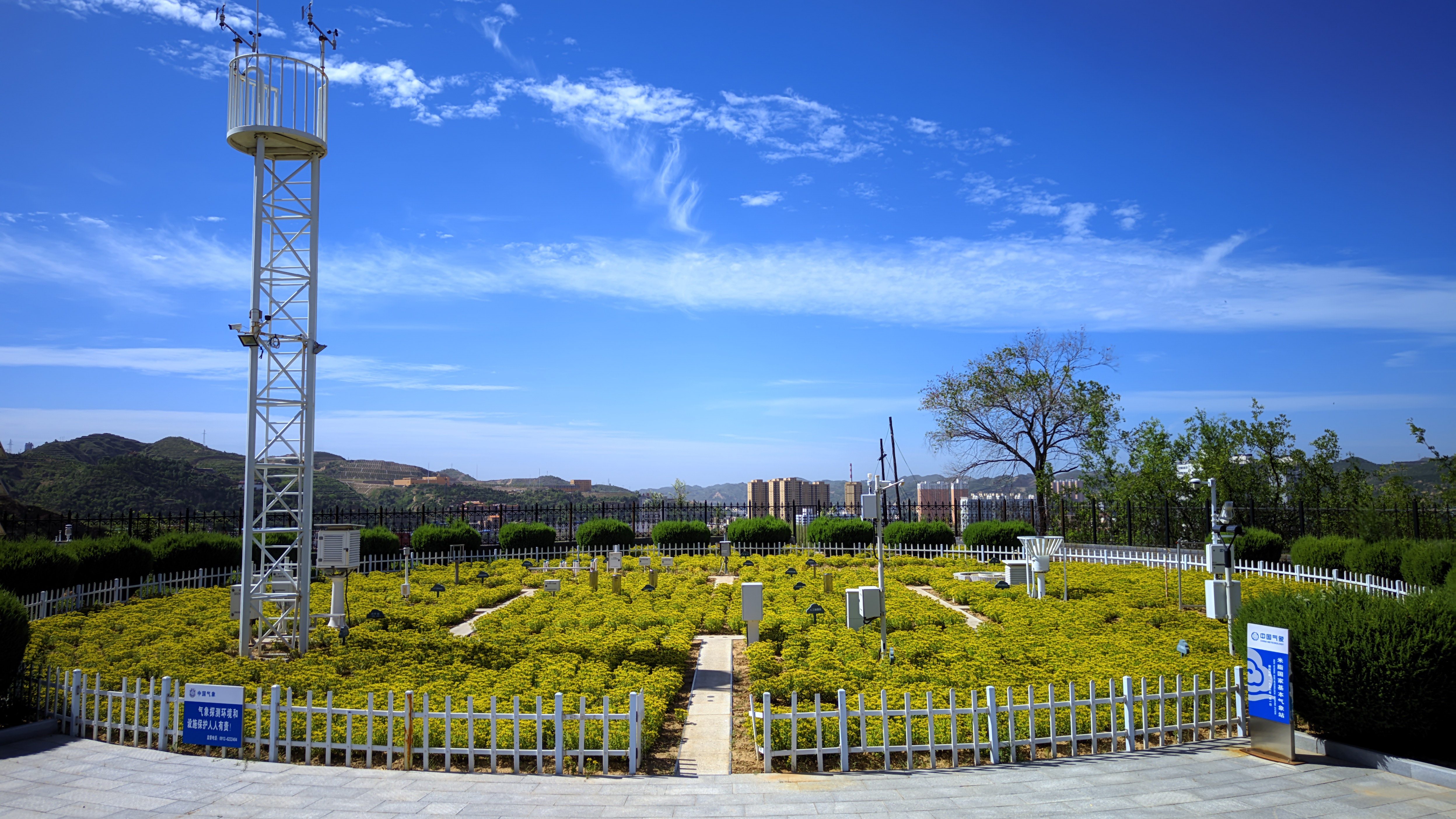 气象服务助力米脂农业和生态高质量发展